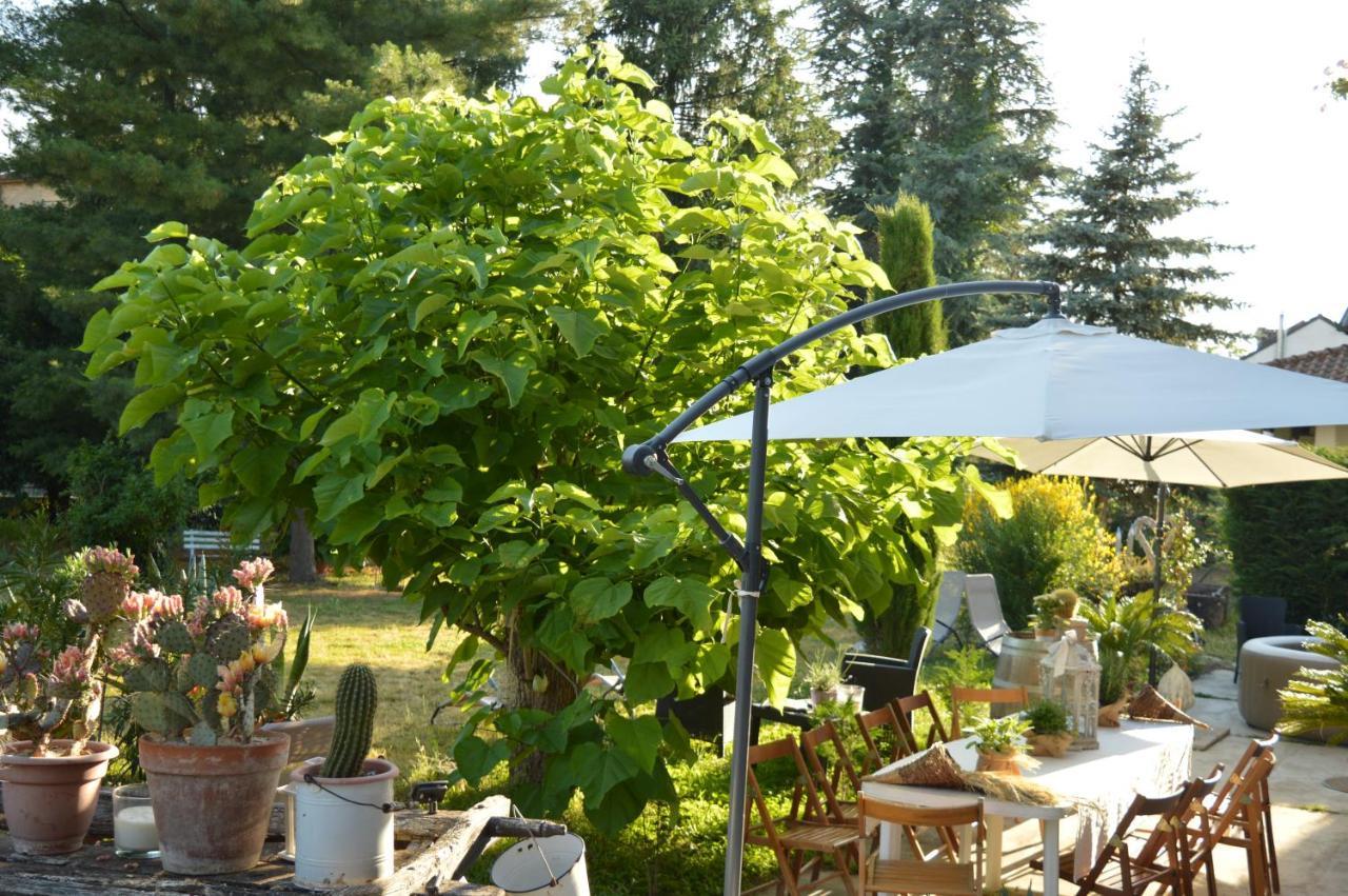 Bed & Tours Dimora Di Campagna Bed & Breakfast Castelnuovo Belbo Eksteriør bilde