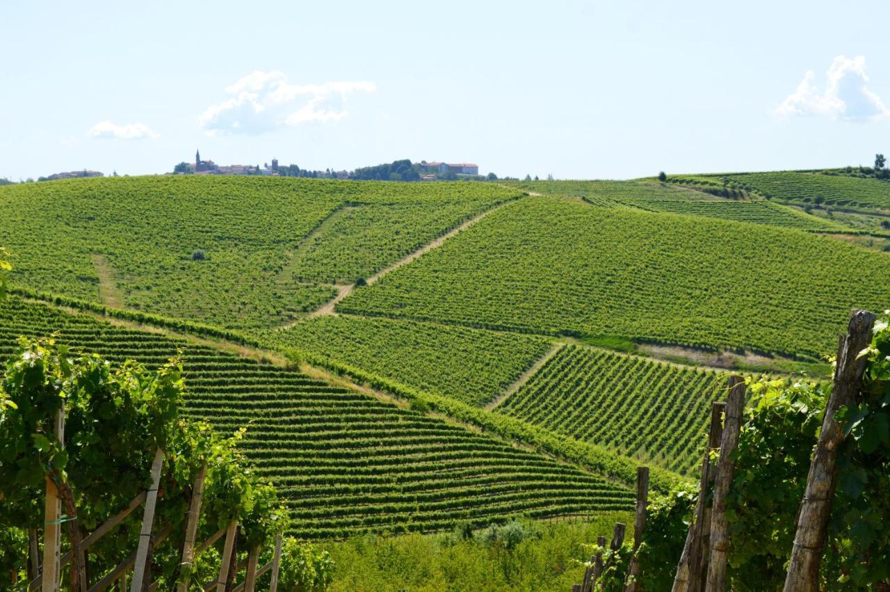 Bed & Tours Dimora Di Campagna Bed & Breakfast Castelnuovo Belbo Eksteriør bilde