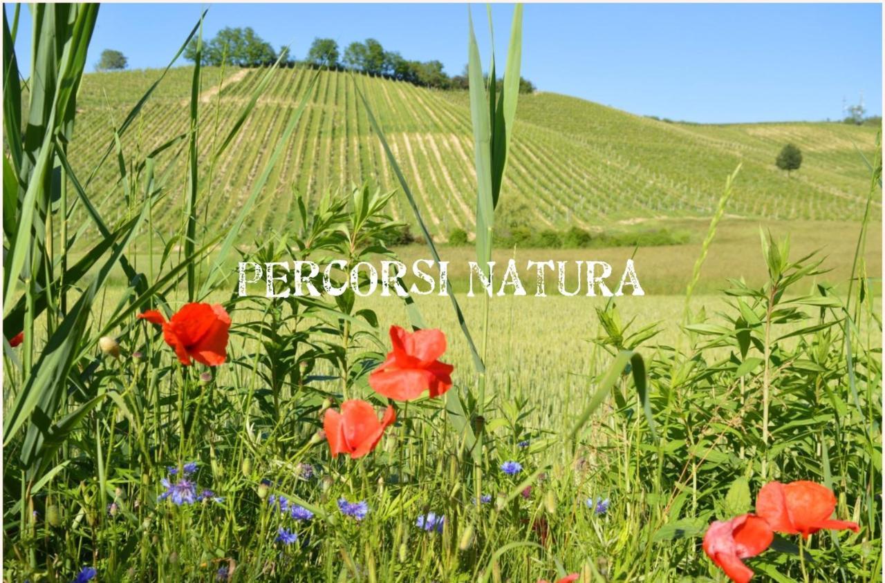 Bed & Tours Dimora Di Campagna Bed & Breakfast Castelnuovo Belbo Eksteriør bilde