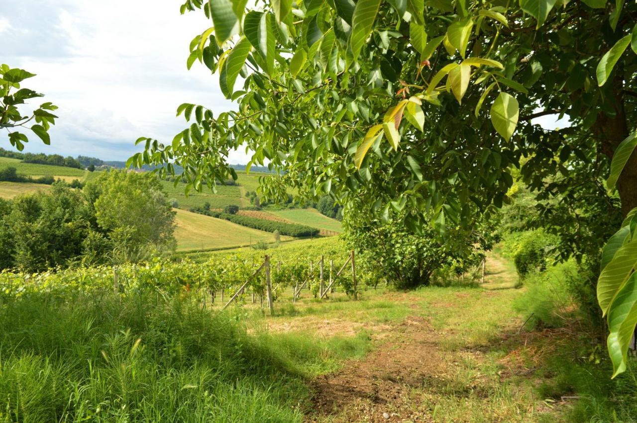 Bed & Tours Dimora Di Campagna Bed & Breakfast Castelnuovo Belbo Eksteriør bilde