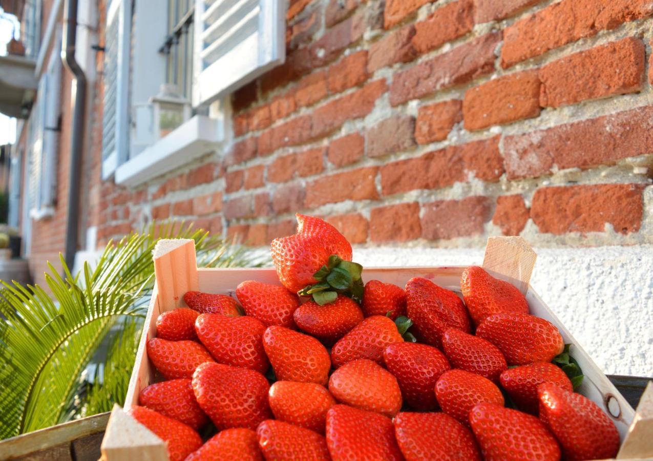 Bed & Tours Dimora Di Campagna Bed & Breakfast Castelnuovo Belbo Eksteriør bilde