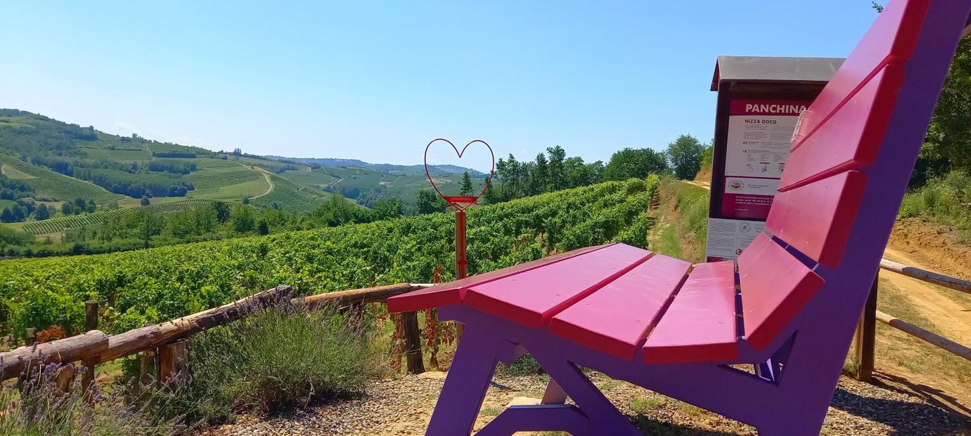 Bed & Tours Dimora Di Campagna Bed & Breakfast Castelnuovo Belbo Eksteriør bilde