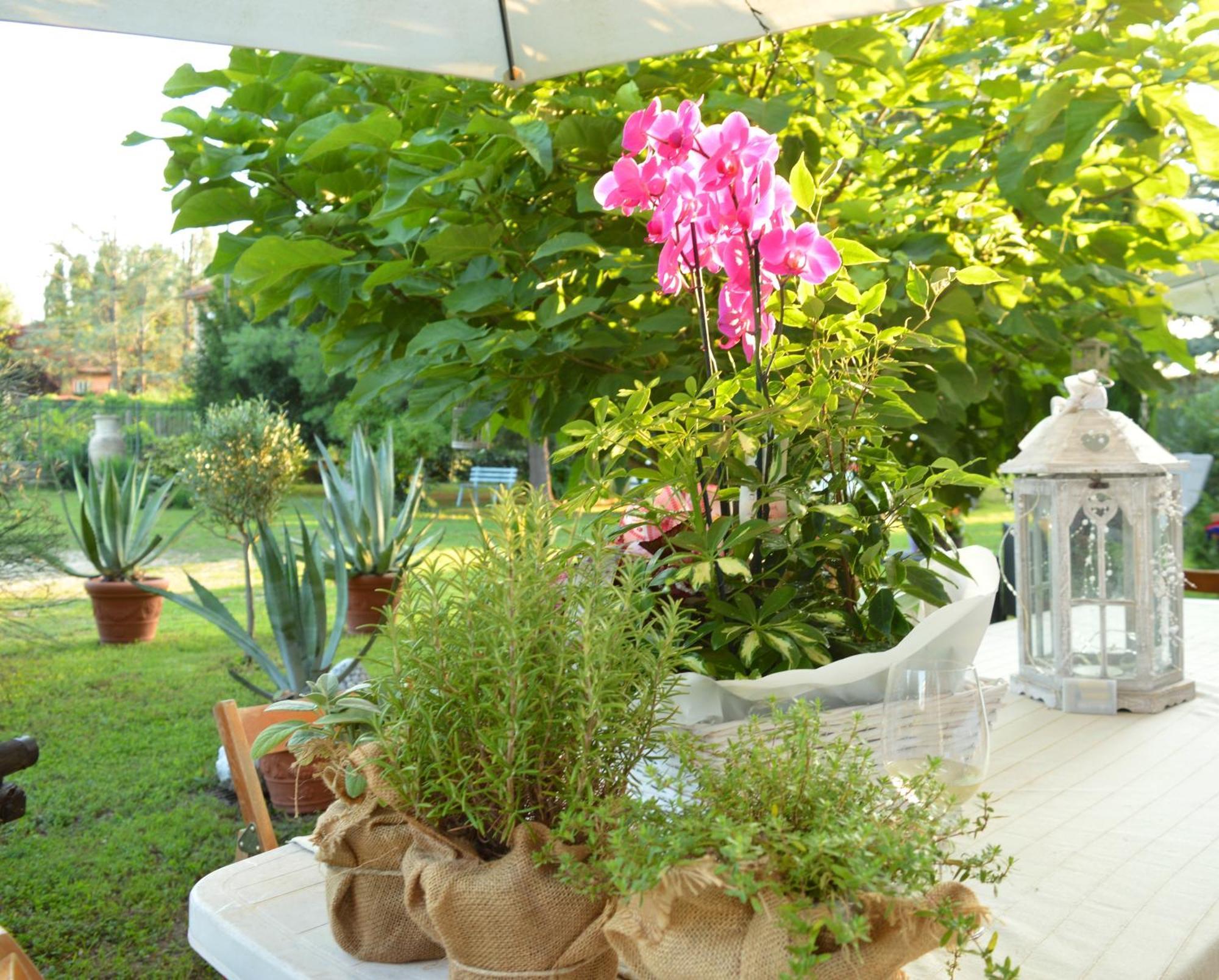Bed & Tours Dimora Di Campagna Bed & Breakfast Castelnuovo Belbo Eksteriør bilde