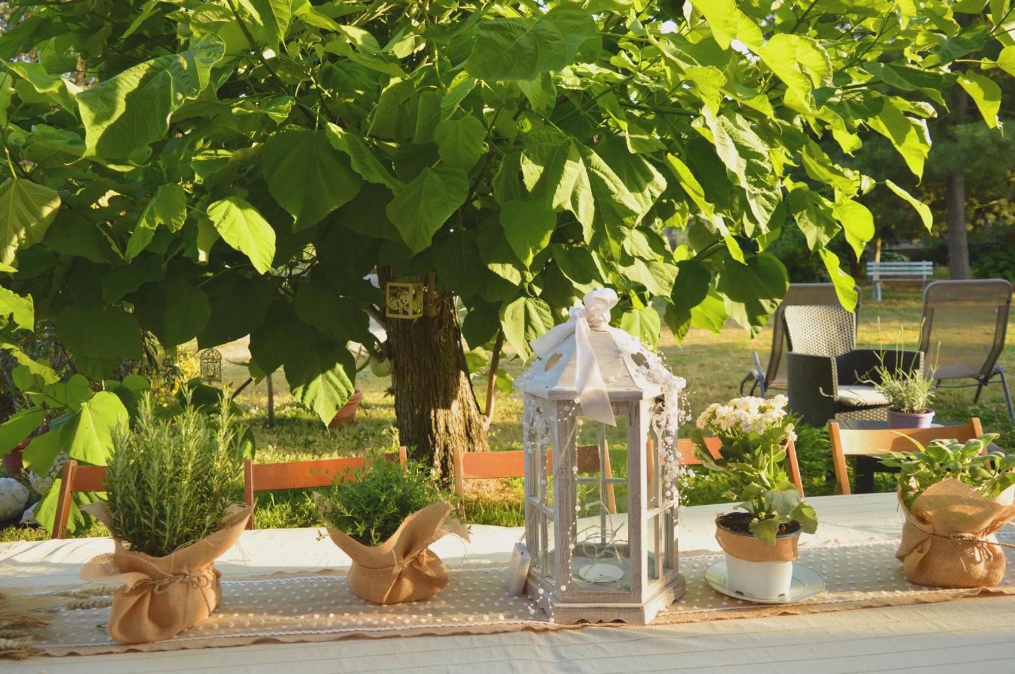Bed & Tours Dimora Di Campagna Bed & Breakfast Castelnuovo Belbo Eksteriør bilde