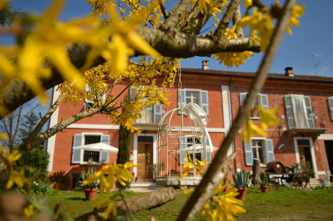 Bed & Tours Dimora Di Campagna Bed & Breakfast Castelnuovo Belbo Eksteriør bilde